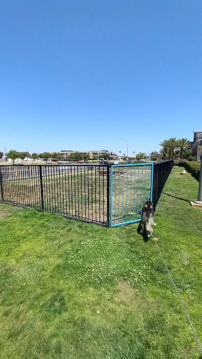 Lucy’s Dog Park 2