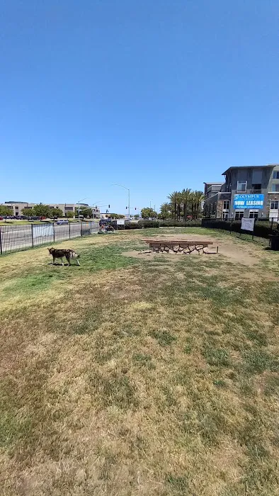 Lucy’s Dog Park 4
