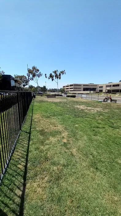 Lucy’s Dog Park 3
