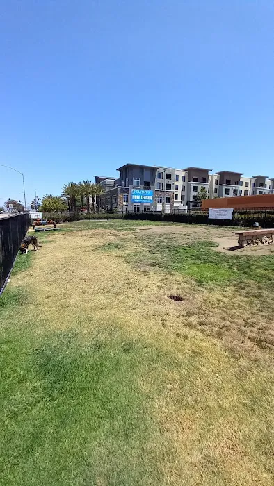 Lucy’s Dog Park 5