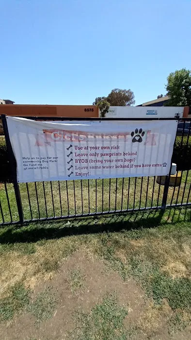 Lucy’s Dog Park 1