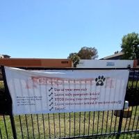 Lucy’s Dog Park ico