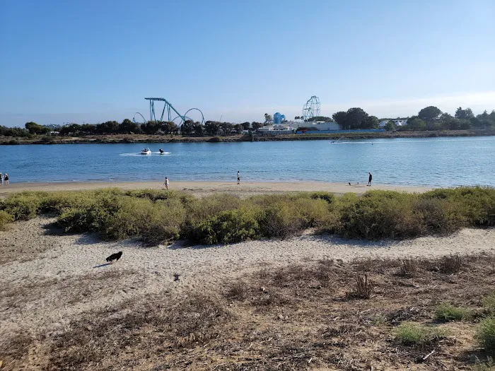 Fiesta Island Dog Park 3