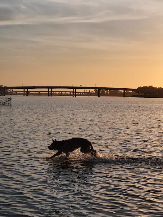 Fiesta Island Dog Park 7