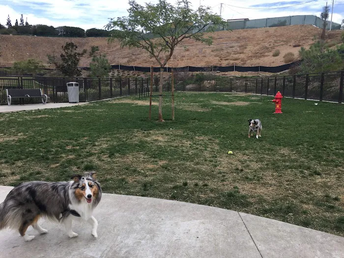 Civita Dog Park 9