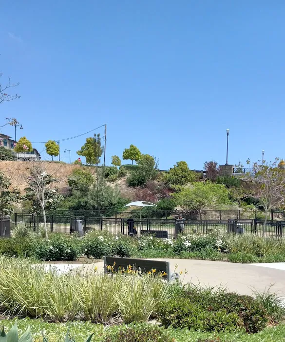 Civita Dog Park 4
