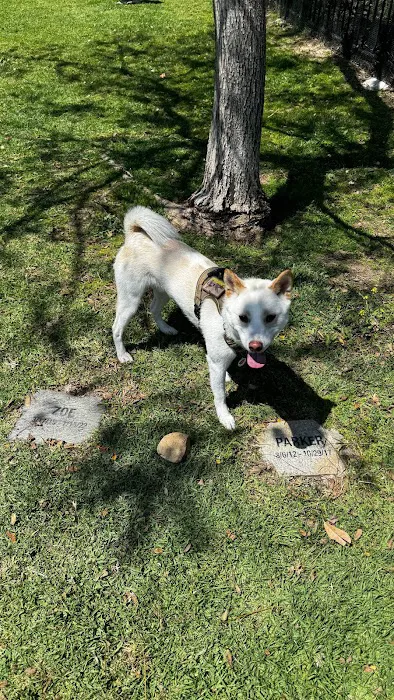 Escala Dog Park (Private) 1