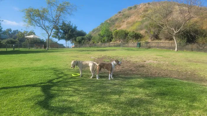 Escala Dog Park (Private) 2
