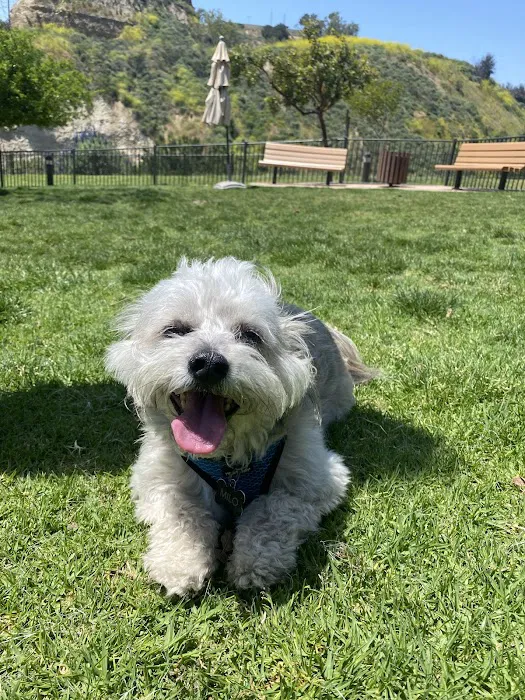 Escala Dog Park (Private) 4