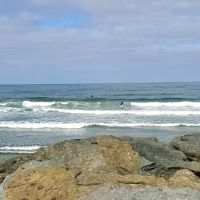 Dog Beach Ocean Beach ico