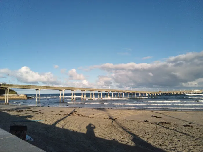 Dog Beach Ocean Beach 2