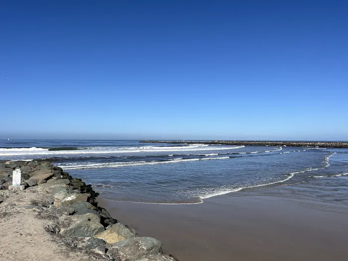 Dog Beach Ocean Beach 8