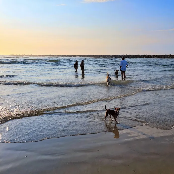 Dog Beach Ocean Beach 7