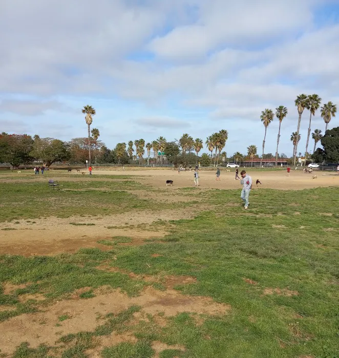 My Dog Park 4