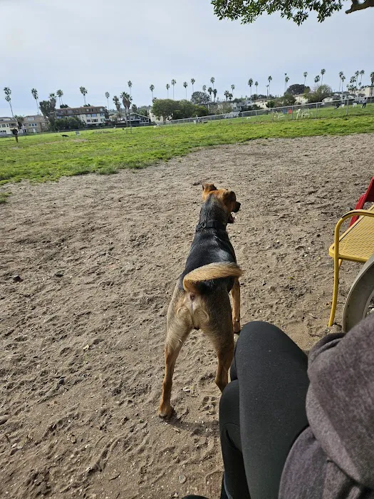 My Dog Park 8