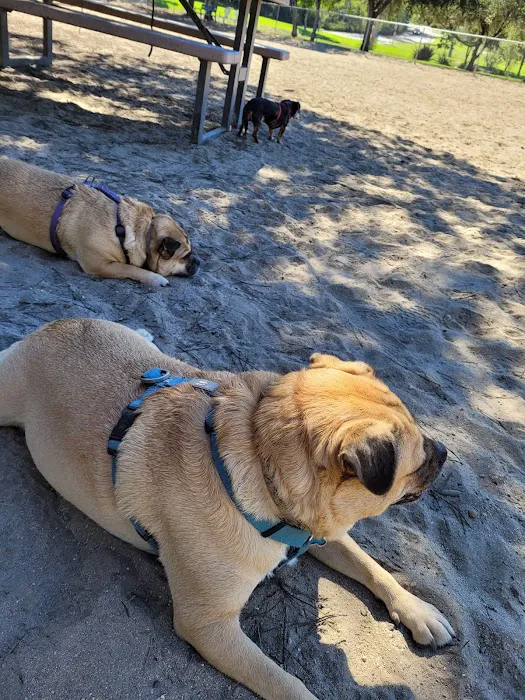 Canine Corners Dog Park 1
