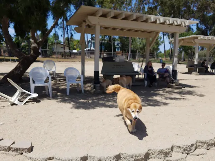 Canine Corners Dog Park 2