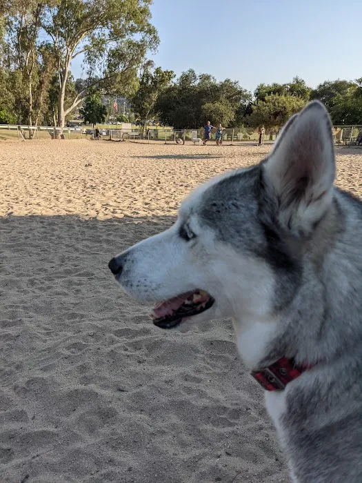 Canine Corners Dog Park 6