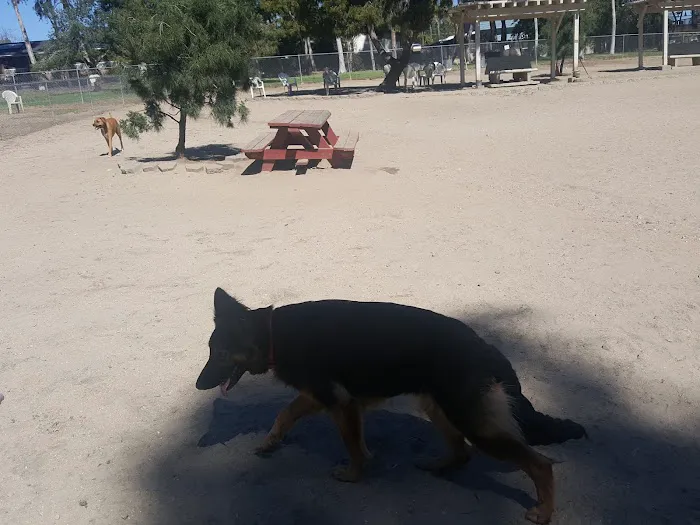 Canine Corners Dog Park 9