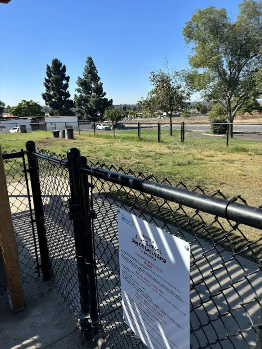 Allied Gardens Dog Park 7