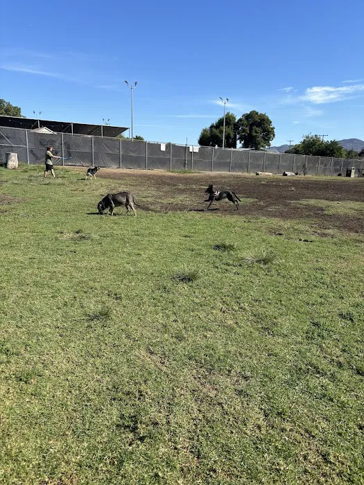 Allied Gardens Dog Park 1