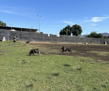 Allied Gardens Dog Park