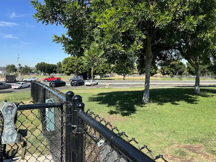 Allied Gardens Dog Park 5