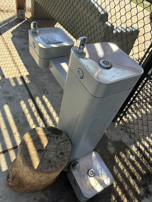 Allied Gardens Dog Park 6