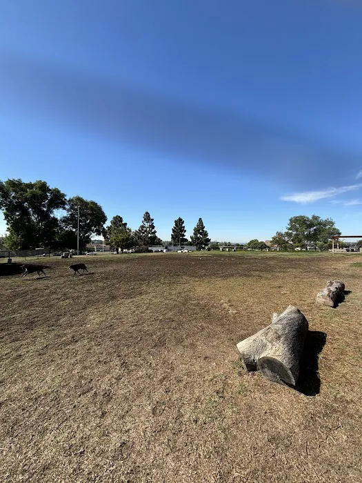 Allied Gardens Dog Park 2