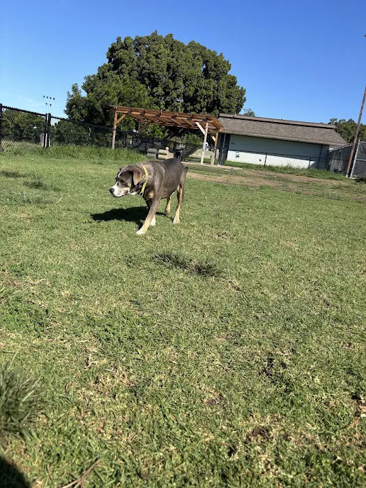 Allied Gardens Dog Park 4