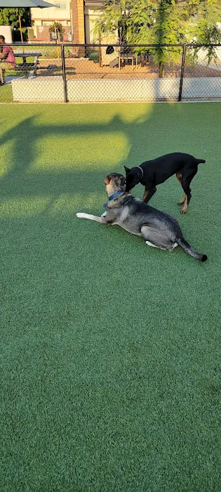 Rolando Church Dog Park 4