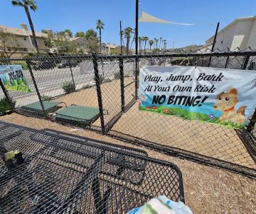 Dog Run