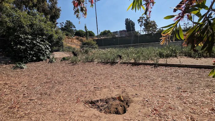 Gopher City Dog Park 2
