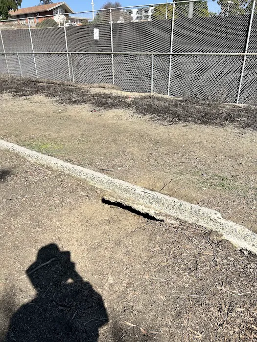 Gopher City Dog Park 5