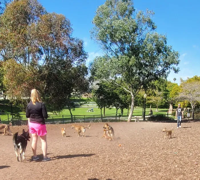 Ward Canyon Dog Park 10