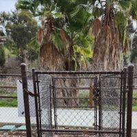 Dog Park ico