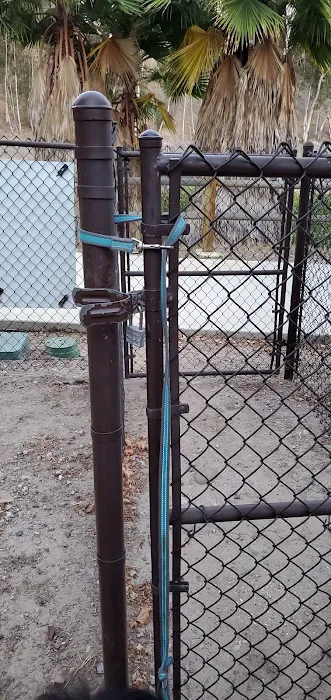Dog Park 7