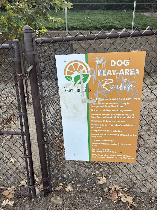 Dog Park 8
