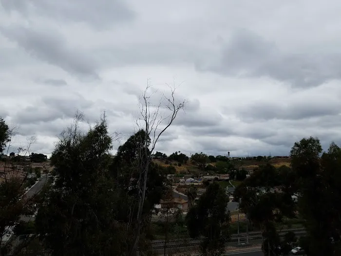 Dog Park 2