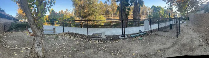 Dog Park 10