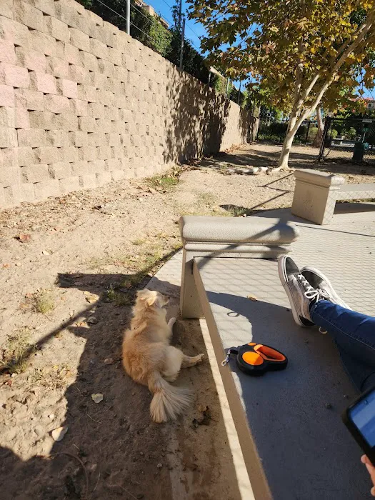 Dog Park 9