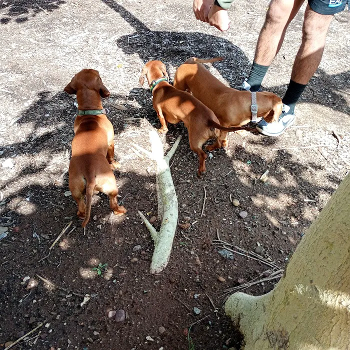 North Park Community Dog Park 6