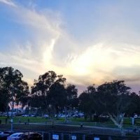North Park Community Dog Park ico