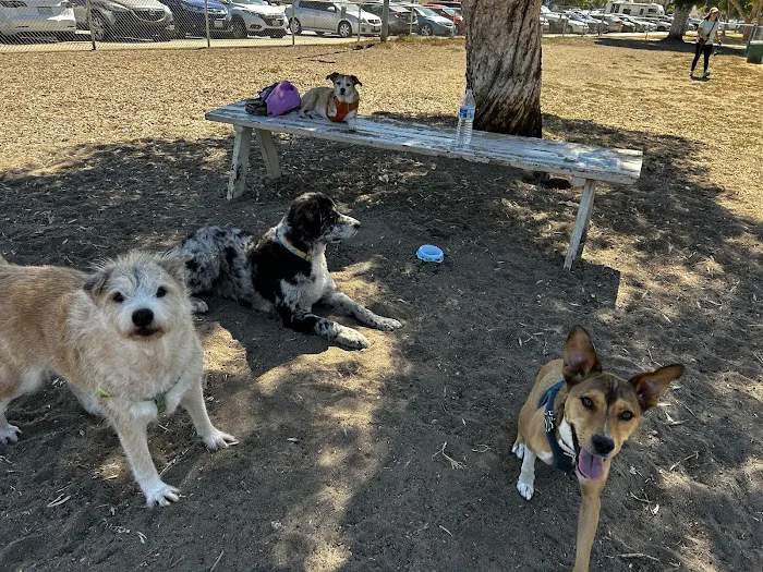 North Park Community Dog Park 4