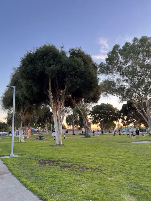 North Park Community Dog Park 9