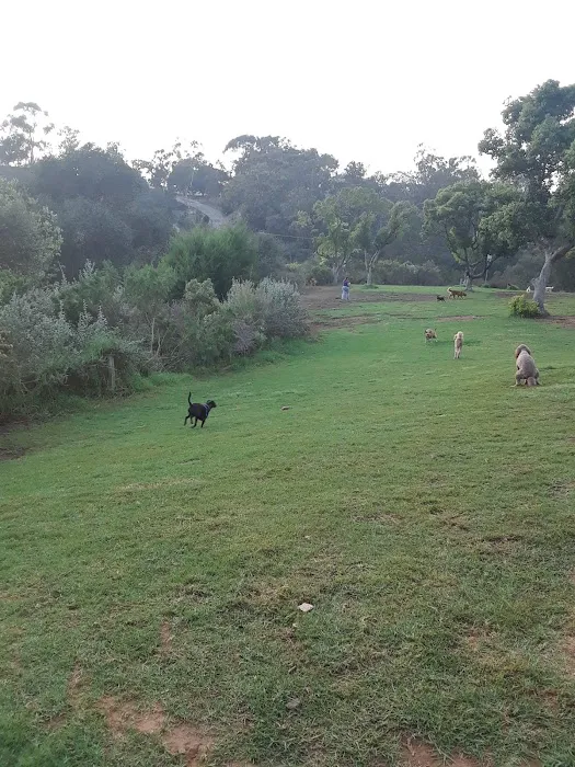 Morley Field Dog Park 10