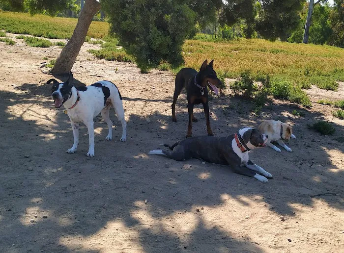 Morley Field Dog Park 1