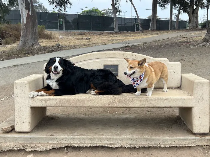 Morley Field Dog Park 7