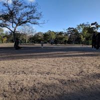 Nate's Point Dog Park ico