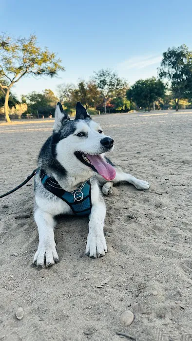 Nate's Point Dog Park 2
